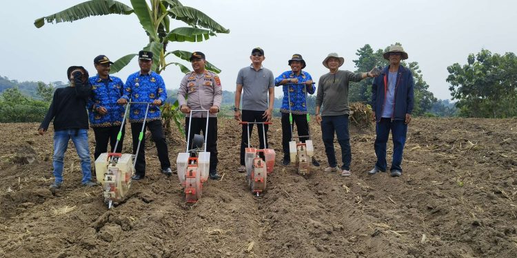 Dua Bersaudara dari Desa Ranca Sumur, Kopo, Abidin dan Wahyu Ciptakan Lapangan Kerja Melalui Sektor Pertanian