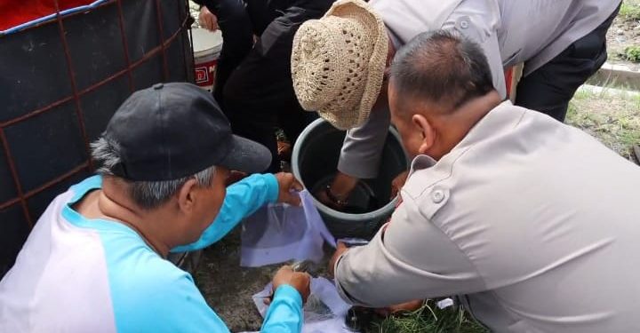 Polsek Ciruas Gelar Panen Perdana Budidaya Lele Bioflok, Bagikan 195 Kilogram Hasil Panen ke Warga