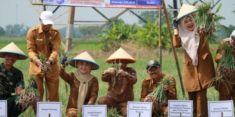 Dorong Swasembada Pangan, Bupati Serang Launching Program “Ratu Tani Bahagia”