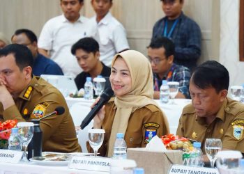 Bupati Serang Minta Dukungan Pusat Atasi Tambang Ilegal dan Krisis Layanan Kesehatan