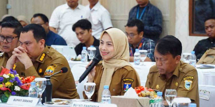 Bupati Serang Minta Dukungan Pusat Atasi Tambang Ilegal dan Krisis Layanan Kesehatan