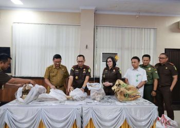 Kejati Banten Serahkan Rangka Badak Jawa ke Museum Negeri Banten