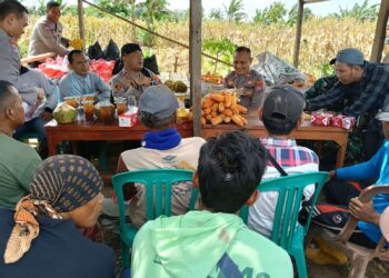 Kapolres Serang Ajak Petani Jagung Ngariung, Pererat Silaturahmi dan Dukung Ketahanan Pangan