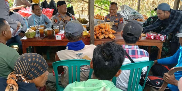 Kapolres Serang Ajak Petani Jagung Ngariung, Pererat Silaturahmi dan Dukung Ketahanan Pangan