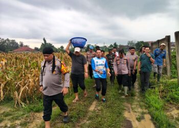 Usai Panen Jagung 37,5 Ton, Kapolres Condro Langsung Tancap Gas Tanam Lahan Baru