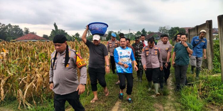 Usai Panen Jagung 37,5 Ton, Kapolres Condro Langsung Tancap Gas Tanam Lahan Baru