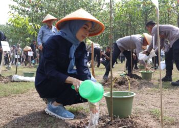 Penanaman 3.000 Pohon Jadi Momentum Edukasi Lingkungan di Serang