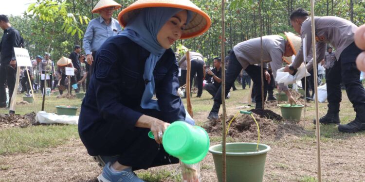 Penanaman 3.000 Pohon Jadi Momentum Edukasi Lingkungan di Serang