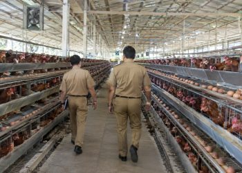 Bukan Sekadar Potensi, Desa di Kabupaten Serang Mulai Punya Mesin Ekonomi Sendiri