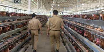 Bukan Sekadar Potensi, Desa di Kabupaten Serang Mulai Punya Mesin Ekonomi Sendiri