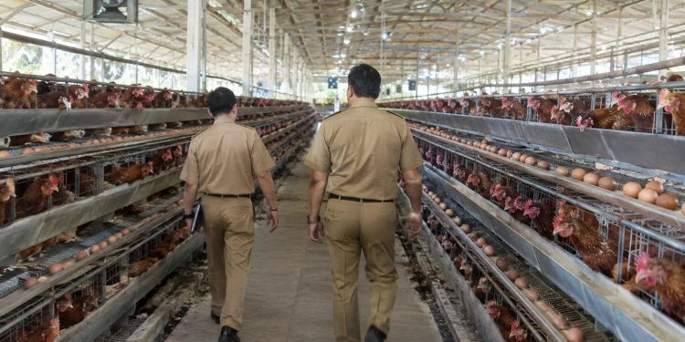 Bukan Sekadar Potensi, Desa di Kabupaten Serang Mulai Punya Mesin Ekonomi Sendiri